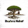 bushra relief logo small